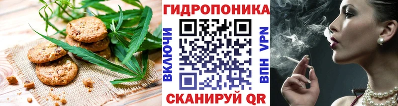 МЕГА вход  сколько стоит  Кировград  Canna-Cookies конопля 