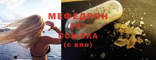 сатива Няндома