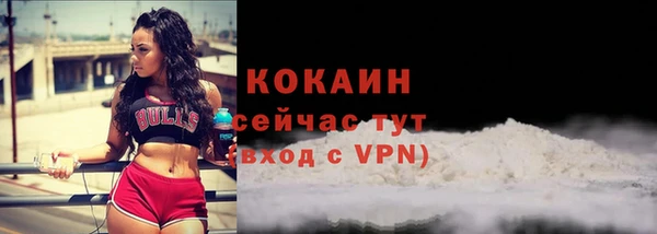 сатива Няндома