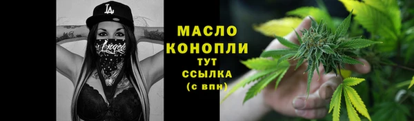 сатива Няндома