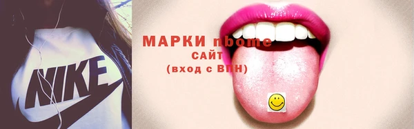 сатива Няндома