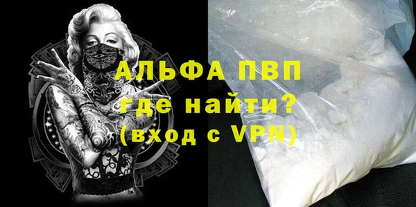 сатива Няндома