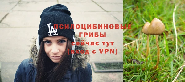 2c-b Нягань