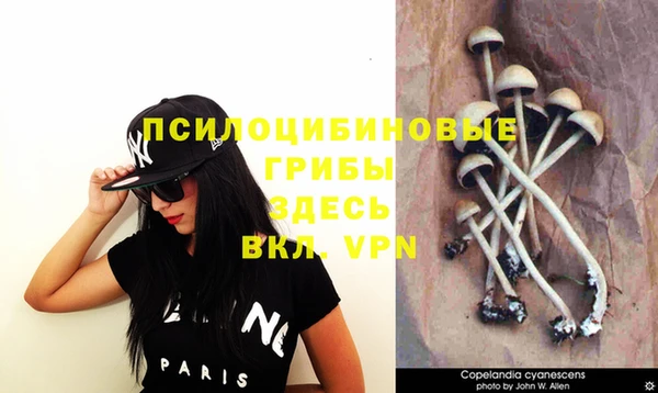 дистиллят марихуана Гатчина